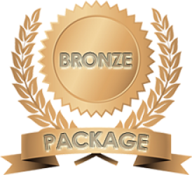 Granite Peak Web Design Bronze Package